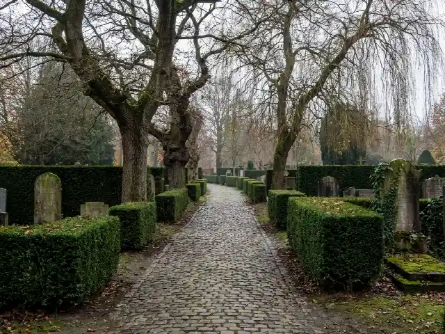 Stil pad tussen hagen en oude bomen op een dorpskerkhof